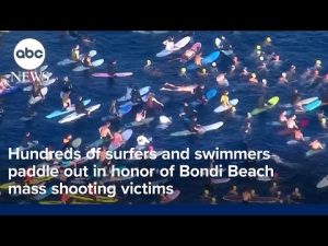 Read more about the article Hundreds of surfers and swimmers paddle out in honor of Bondi Beach mass shooting victims