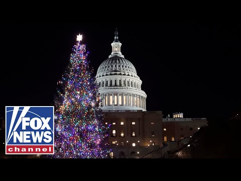 Read more about the article WATCH LIVE: Speaker Johnson, Nevada delegation host U.S. Capitol Christmas Tree Lighting Ceremony