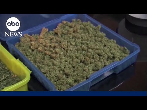 Read more about the article President Trump signs executive order to ease cannabis restrictions