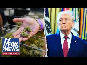 Read more about the article Trump signs executive order to reclassify marijuana