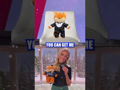 Read more about the article Behind the scenes of Fox News at night… #shorts