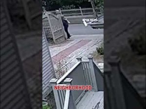 Read more about the article SEE IT: Homeless man followed Brown shooting suspect #shorts