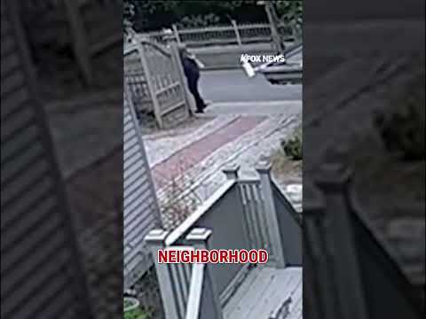 Read more about the article SEE IT: Homeless man followed Brown shooting suspect #shorts