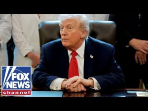 Read more about the article People need to see ‘the proof in the pudding,’ says Ari Fleischer