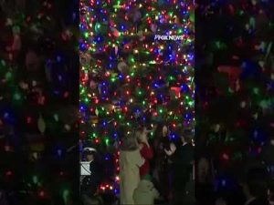Read more about the article WATCH: Speaker Johnson hosts the annual Christmas tree lighting at the Capitol #foxnews #news #us