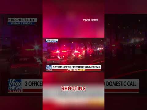 Read more about the article Three police officers SHOT during domestic violence call #foxnews #news #us #fox