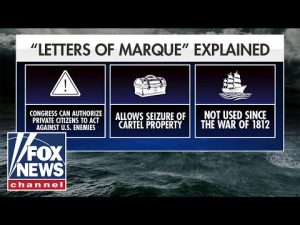 Read more about the article New bill would allow private citizens to fight cartels: ‘WE ARE UNDER ATTACK’