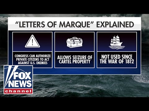 Read more about the article New bill would allow private citizens to fight cartels: ‘WE ARE UNDER ATTACK’