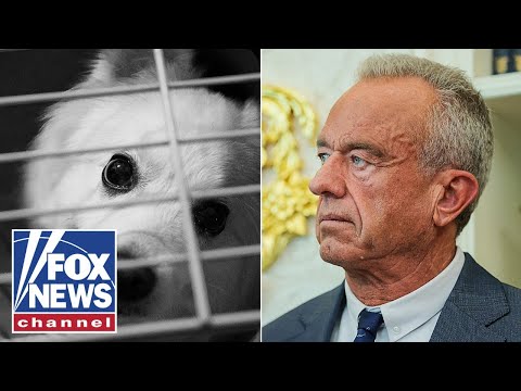Read more about the article RFK Jr shares what inspired him to help stop animal cruelty
