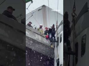 Read more about the article DRAMATIC RESCUE: First responders pull a driver to safety after 18-wheeler skidded off highway #fox
