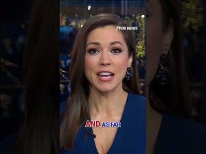 Read more about the article Homeless HERO who cracked Brown case now reportedly being ‘taken care of’ #shorts #foxnews #us