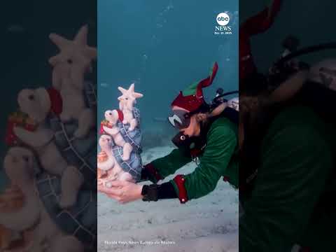 Read more about the article Scuba-diving Santa Claus takes a holiday plunge in the Florida Keys
