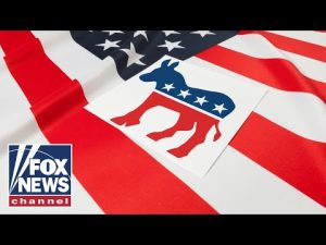 Read more about the article US needs young people to ‘make their own futures very, very bright’: Liz Peek