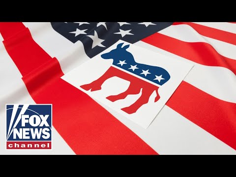 Read more about the article US needs young people to ‘make their own futures very, very bright’: Liz Peek