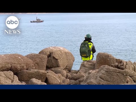 Read more about the article Search for missing swimmer in possible shark attack