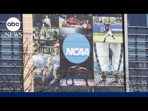 You are currently viewing College sports landscape spurs Saint Francis University to leave Division 1