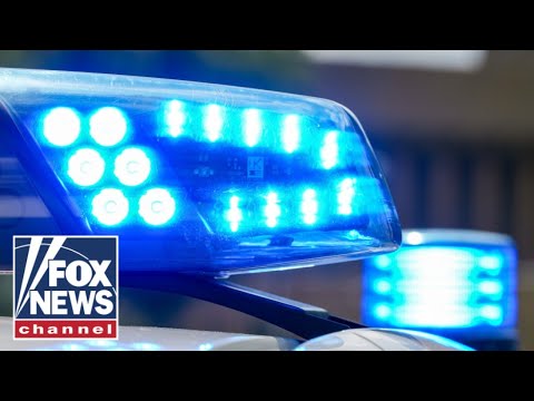 Read more about the article Gangs moving illicit narcotics attack Americans that get in their way, former Pentagon official says