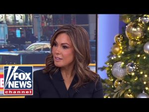 Read more about the article Boring and predictable is NOT funny: Lisa Boothe