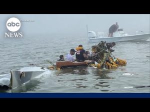 Read more about the article Mexican Navy plane crashes in Texas