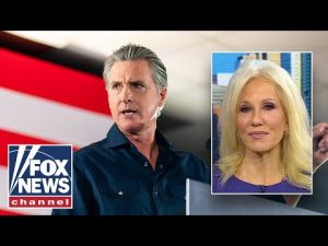 Read more about the article ‘Don’t fix your face!’: Dems TORCHED for 2028 rebrand