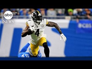 Read more about the article DK Metcalf given 2 game suspension for fan altercation