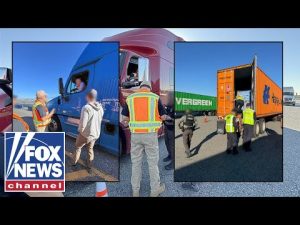 Read more about the article These permits were given out ‘like candy’: Former DHS official