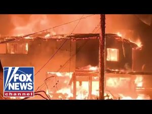 Read more about the article California Gov. Newsom’s policies ‘allowed’ state park to burn, contributed to wildfires