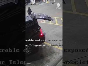 Read more about the article Police: Thieves used stolen SUV to pull ATM from convenience store