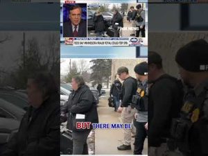 Read more about the article ‘WILLFUL BLINDNESS’: Turley calls out Minnesota leaders amid ‘breathtaking’ fraud accusations #fox