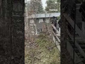 Read more about the article UN-BEAR-LIEAVABLE!: Tourists find themselves face-to-face with a grizzly bear #shorts #bear #tourist