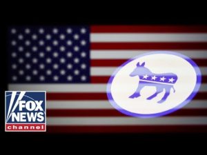 Read more about the article Democratic strategist has a message for fellow party members