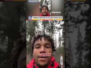 Read more about the article WATCH: Hikers come FACE TO FACE with GRIZZLY BEAR #foxnews #news #us #fox