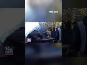 Read more about the article ‘Saving lives, running towards danger’: Man saved from frigid water in Brooklyn