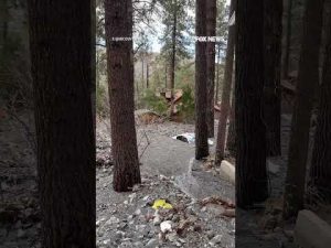 Read more about the article WATCH: Homes and vehicles buried under mud after flash flooding in California