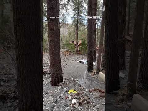 You are currently viewing WATCH: Homes and vehicles buried under mud after flash flooding in California