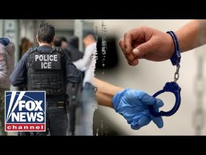 Read more about the article SHOCKING: Illegal migrant attempts to RUN OVER ICE agents with van