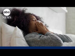 Read more about the article What to know about this year’s flu strain