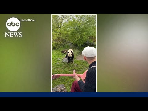 You are currently viewing Meet the musician whose audience is the animal kingdom