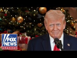 Read more about the article ‘CHRISTMAS MIRACLE’: GOP senator says Trump has delivered it