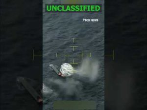 Read more about the article WATCH: US forces carry out strike on another alleged narco-terrorist vessel #shorts #foxnews #news