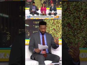 Read more about the article ‘TIP OF THE ICEBERG’: FBI probes Minnesota fraud #foxnews #news #us #fox