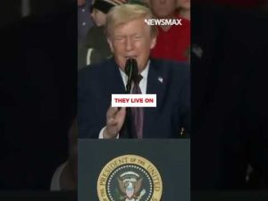 Read more about the article ‘Are we stupid?’: Trump reacts to Somali fraud in Minnesota report