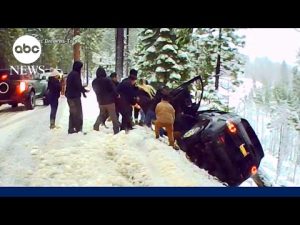 Read more about the article Good Samaritan speaks out after rescuing couple from crash