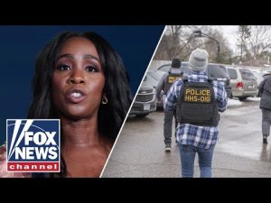 Read more about the article WATCH: CNN tries to SPIN Minnesota fraud scandal as DHS moves in