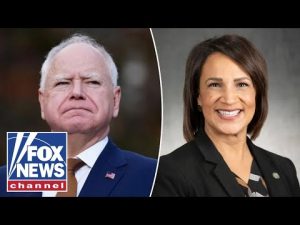 Read more about the article ‘THIS IS THEFT!’: Fraud has gone ‘unchecked,’ Minnesota House speaker says