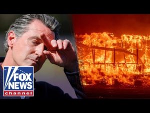 Read more about the article ‘Cover-up is developing’: Man who lost home in Palisades fire