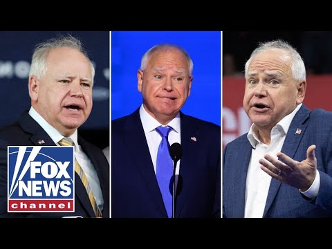 You are currently viewing ‘UNLIKE ANYTHING WE’VE EVER SEEN’: Minnesota fraud scandal on FULL DISPLAY