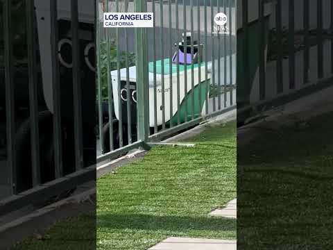 You are currently viewing Delivery robot knocks down motorcycle parked on Los Angeles sidewalk