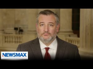 Read more about the article Radicals at the ‘heart of Democrat Party’: Ted Cruz