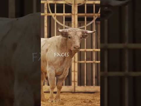 You are currently viewing It’s Merlin’s way or the highway